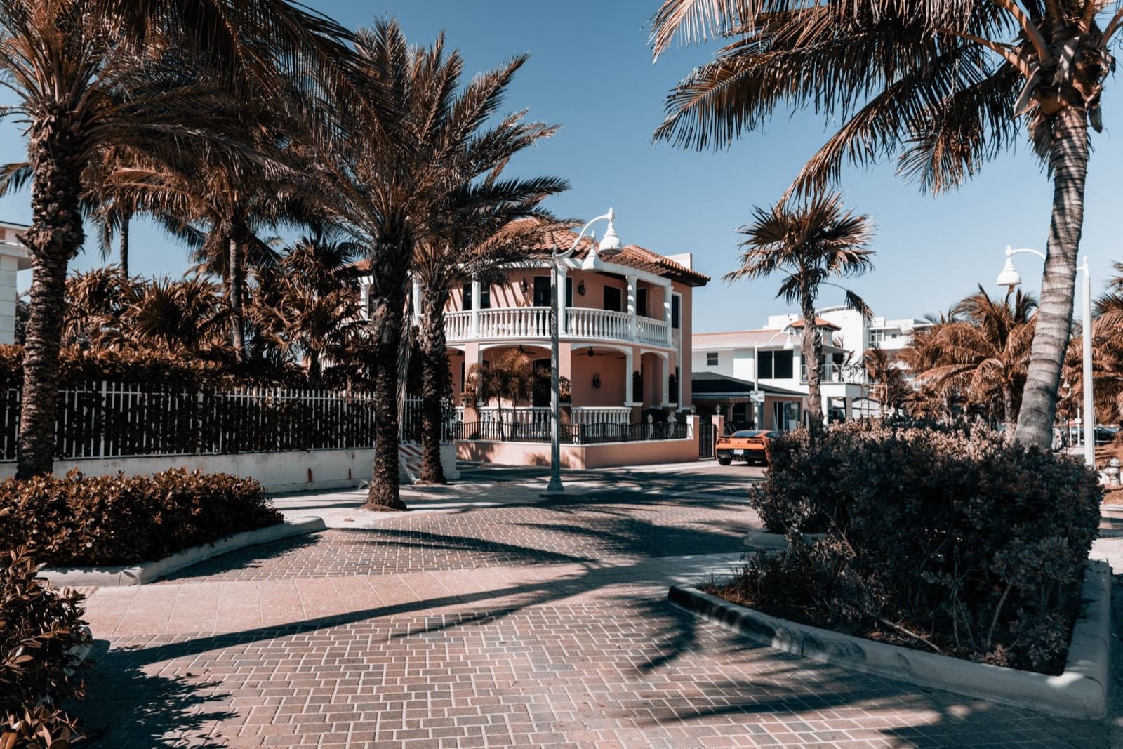 Tropical house surrounded by palm trees