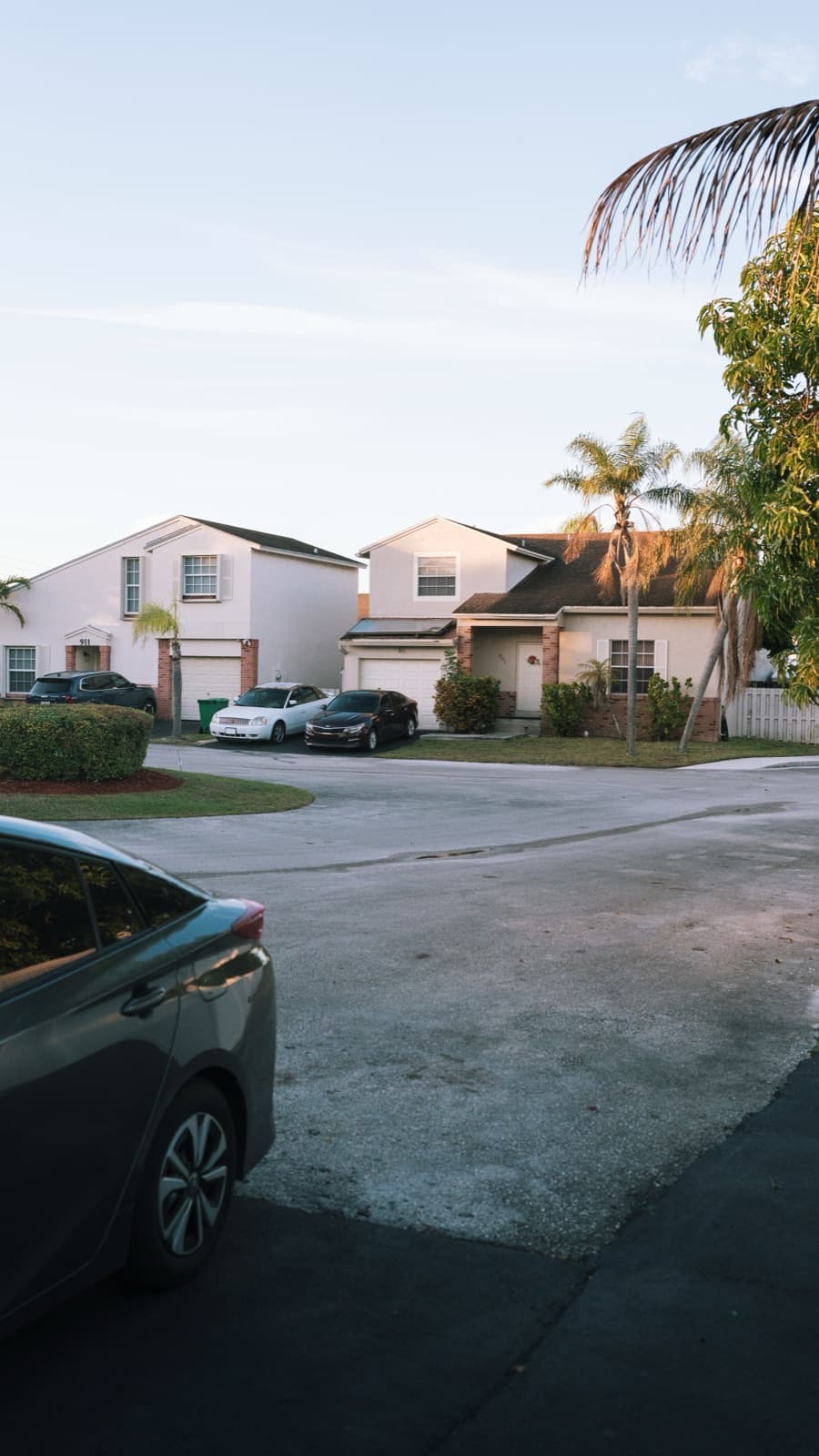 Suburban street with palm trees at sunset