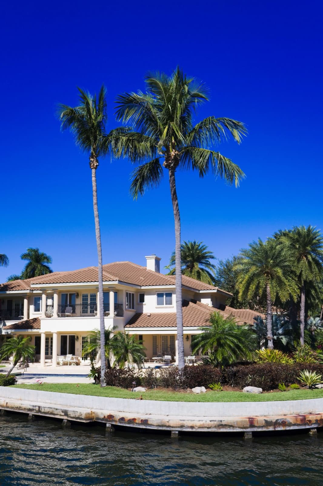 Waterfront home with palm trees