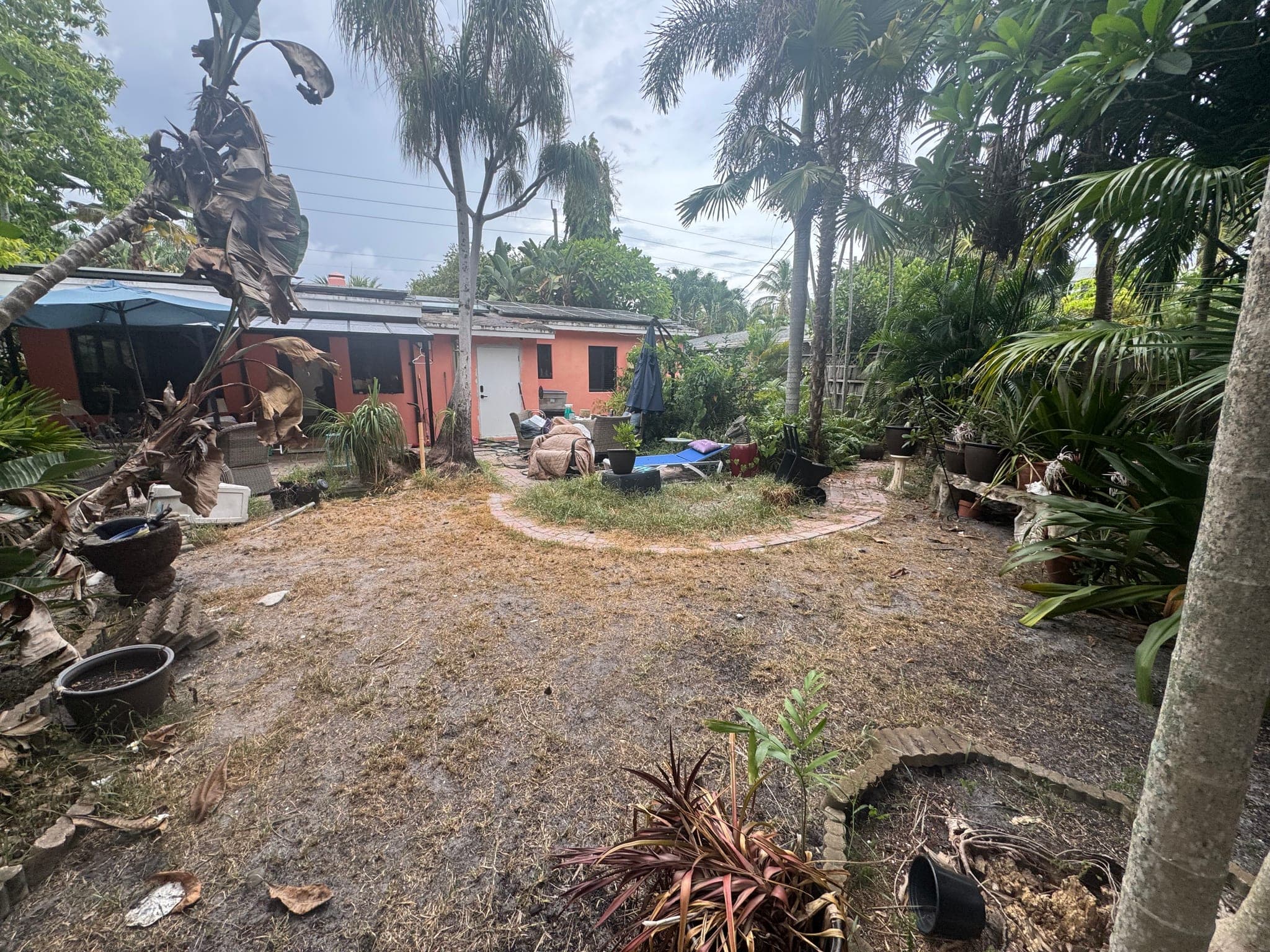 Overgrown backyard with bare dirt paths and the pink house before the makeover