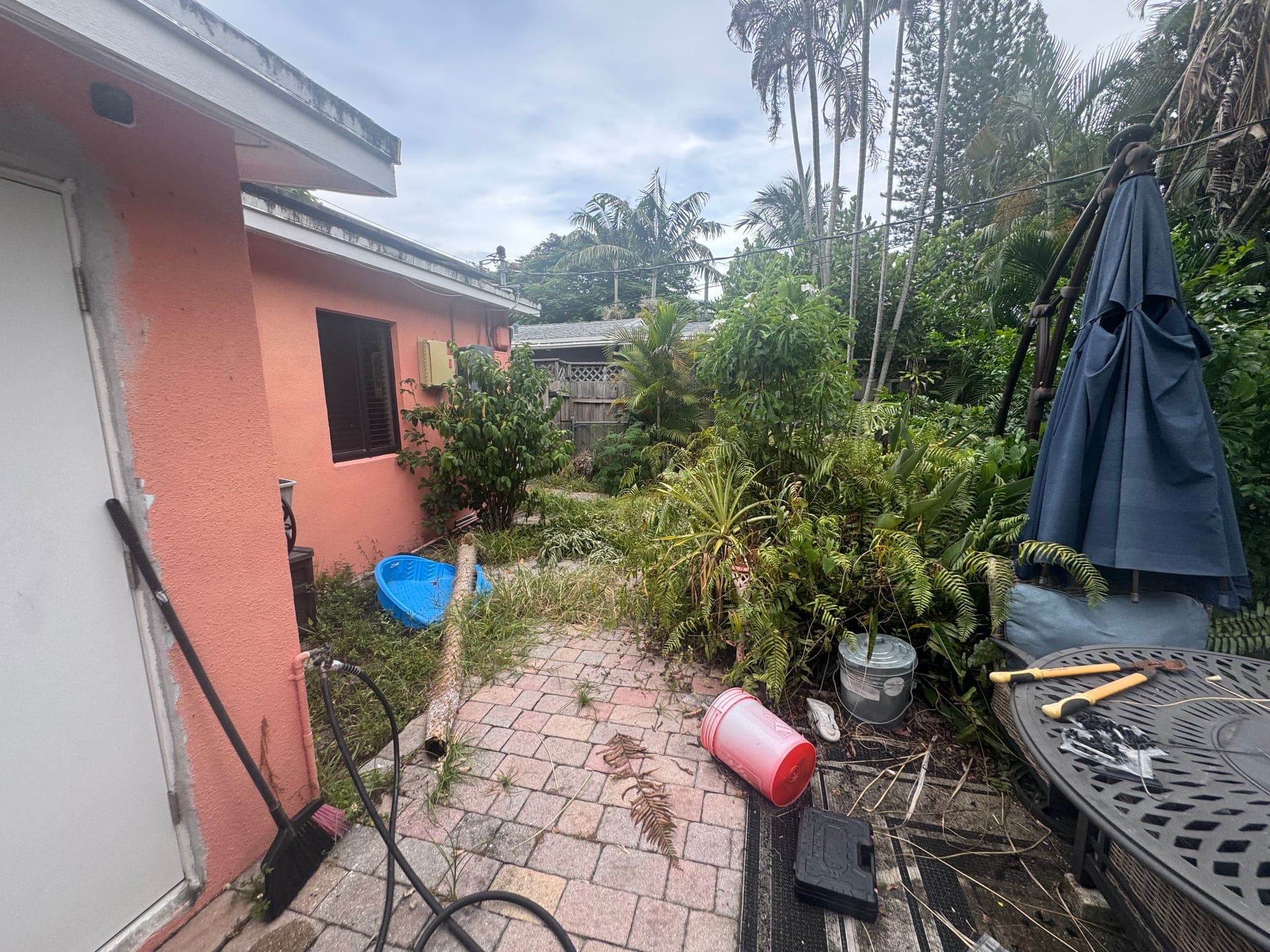 Side of the house with overgrown beds and debris, before