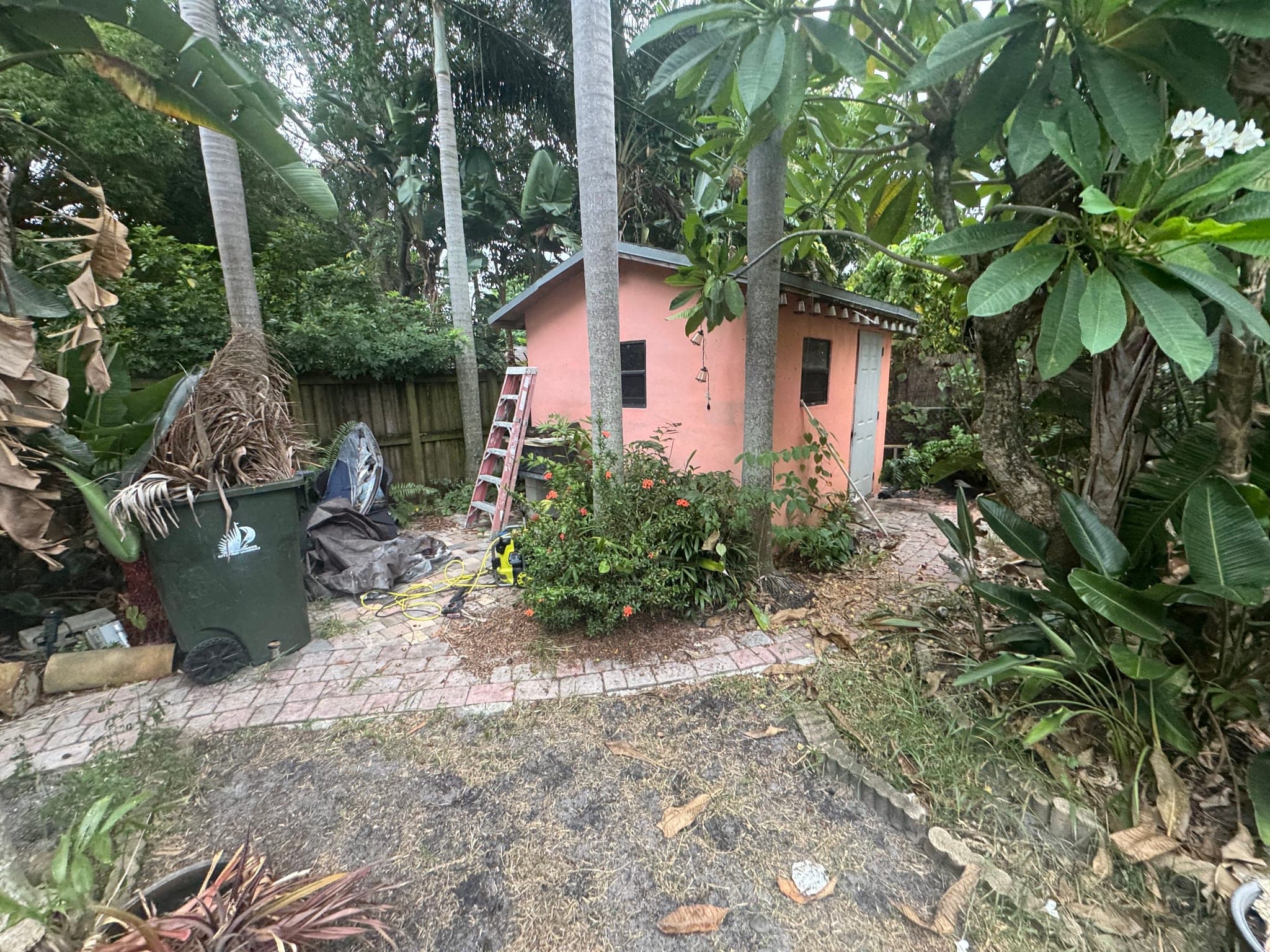 Dirt path and dead palm fronds leading to the shed, before