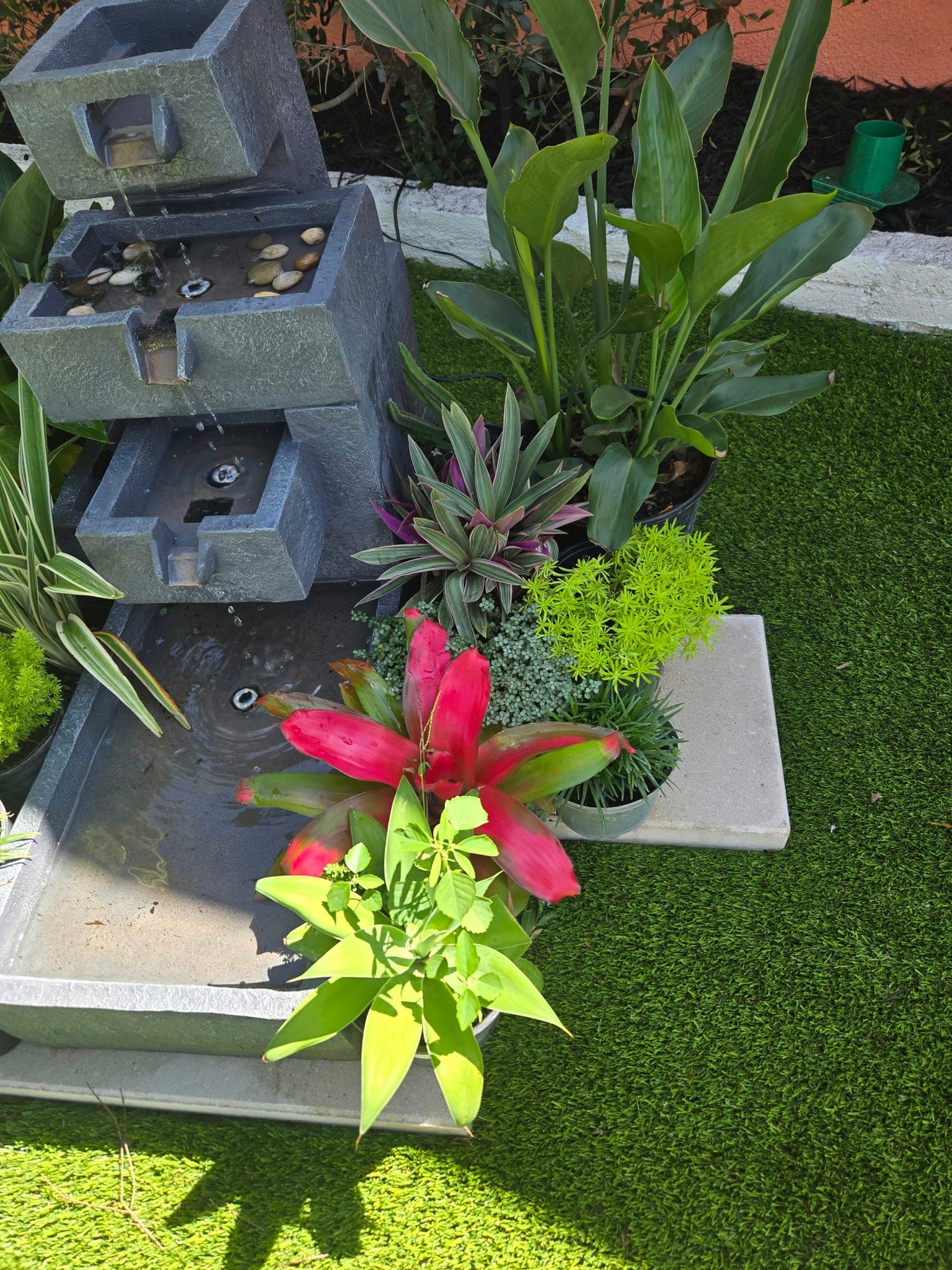 Close-up of the fountain feature with succulents and white rock