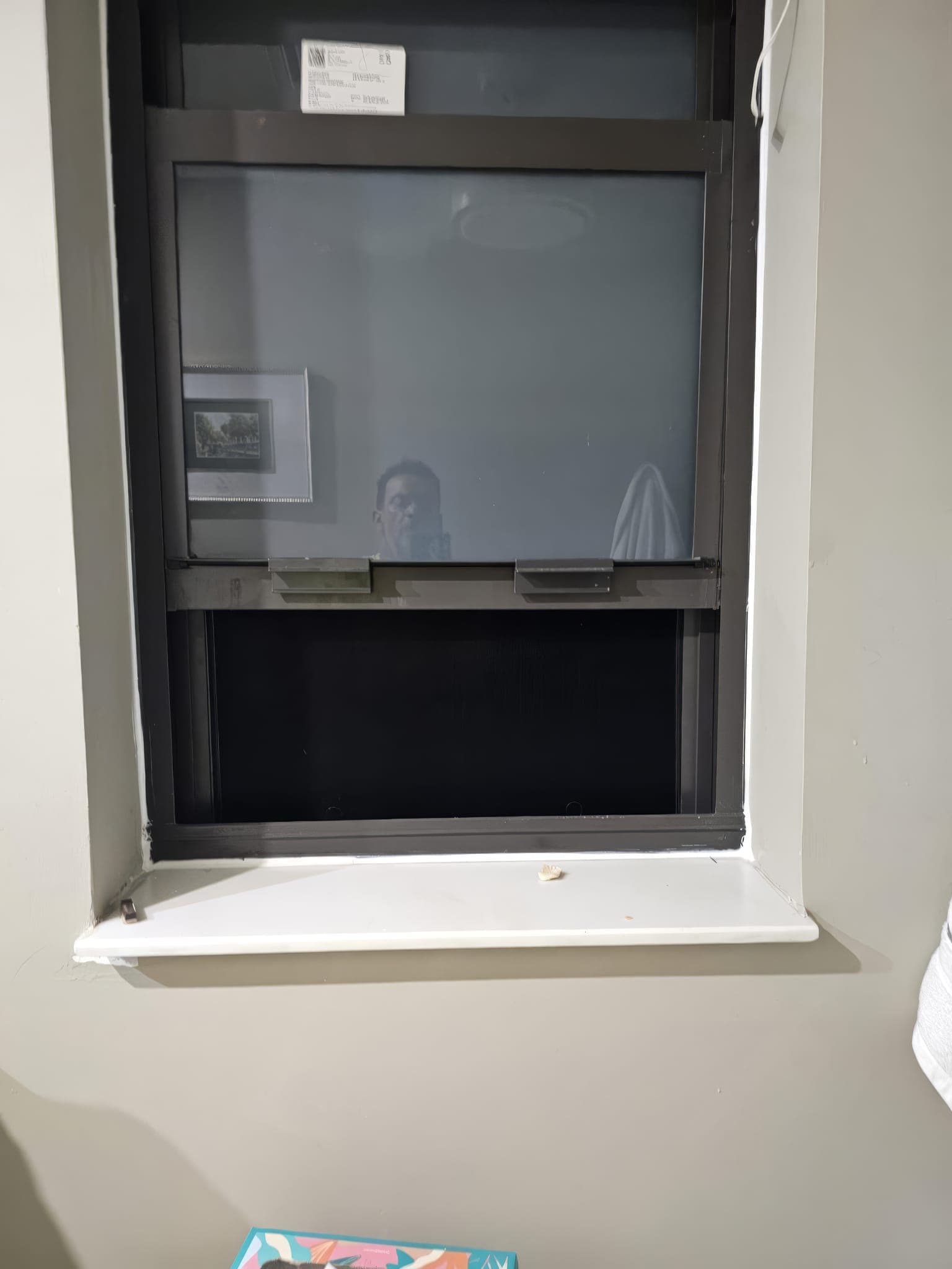 Bathroom single-hung impact window with frosted lower sash