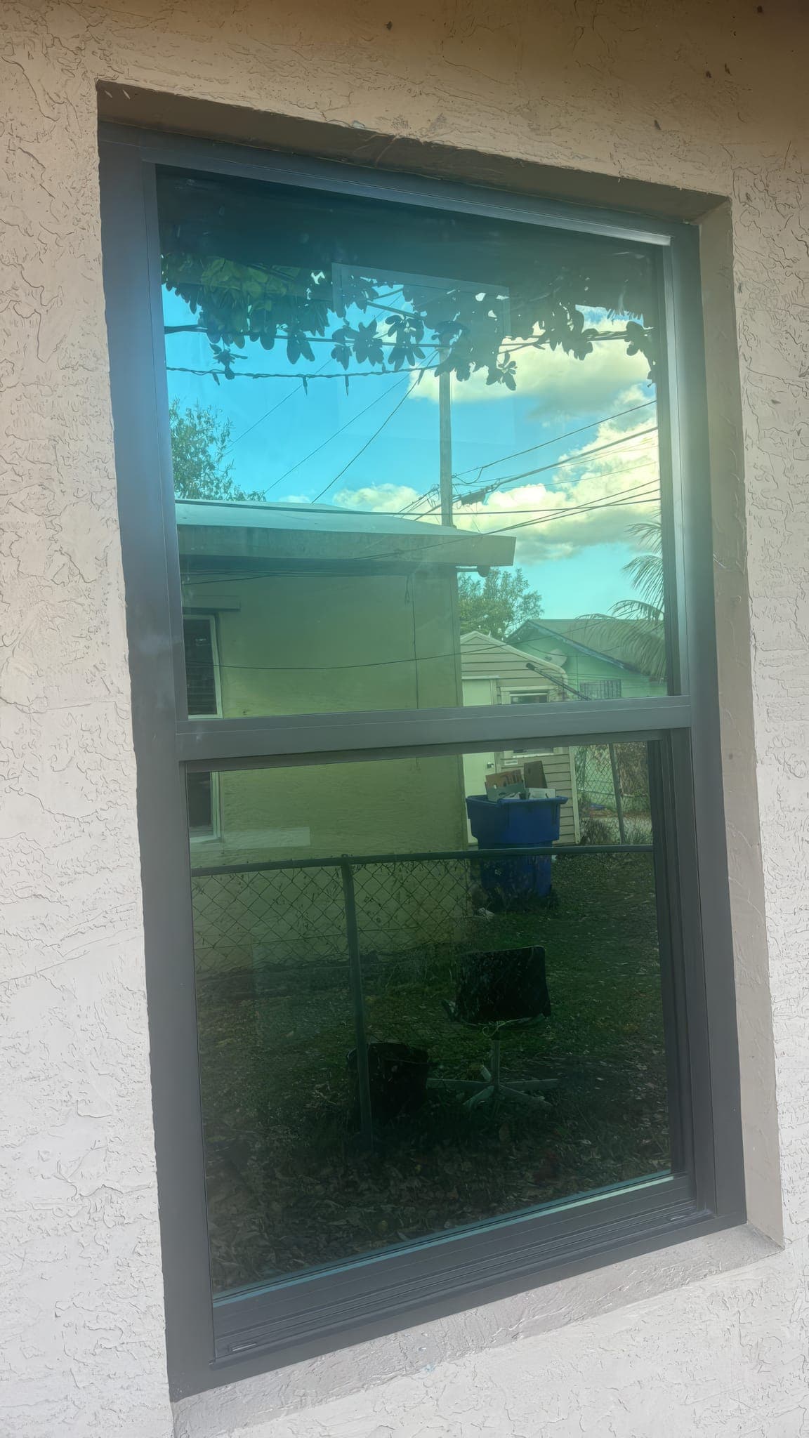 Tall impact-rated replacement window with bronze frame