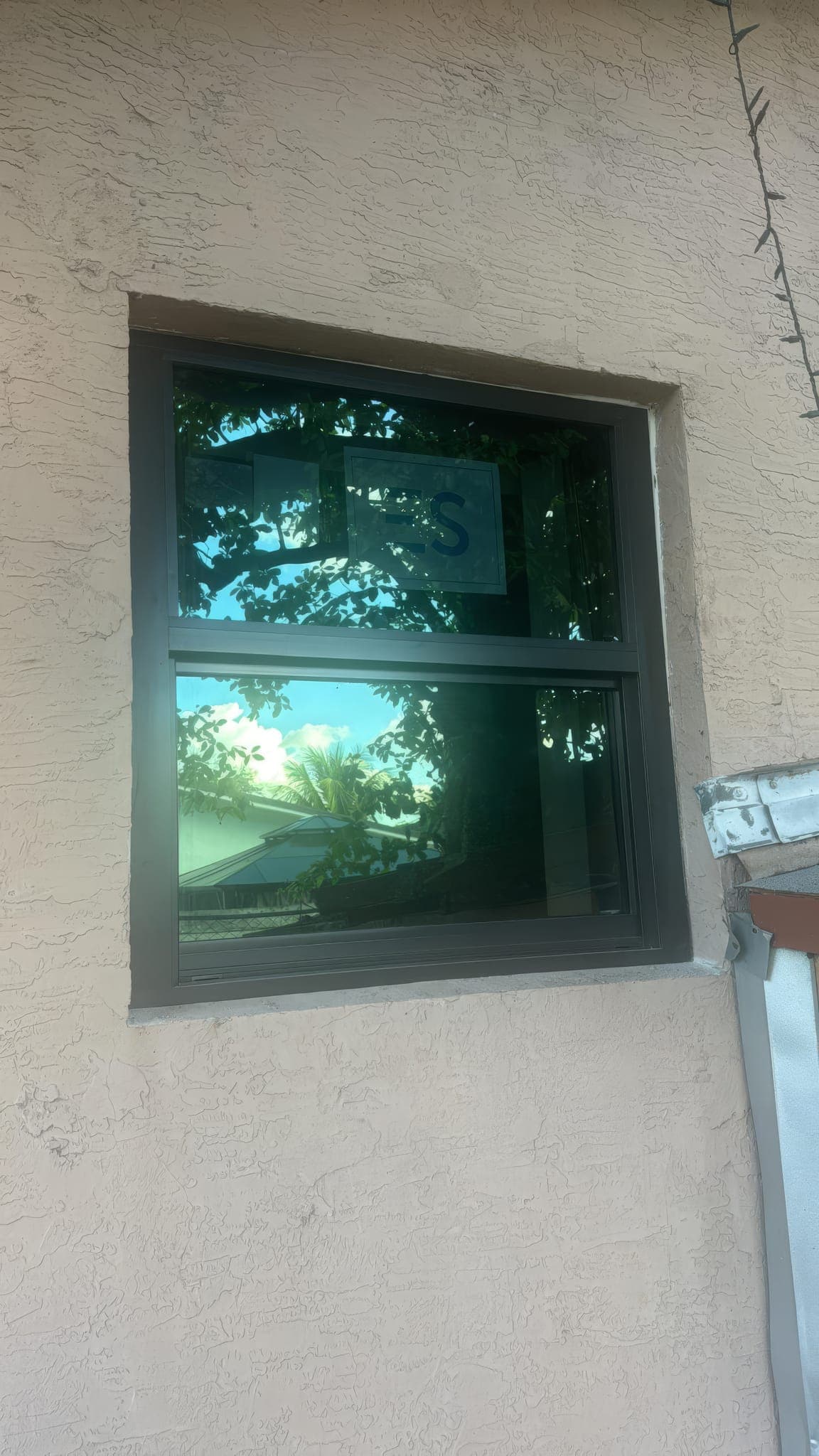 New impact window in the stucco wall, reflecting the yard
