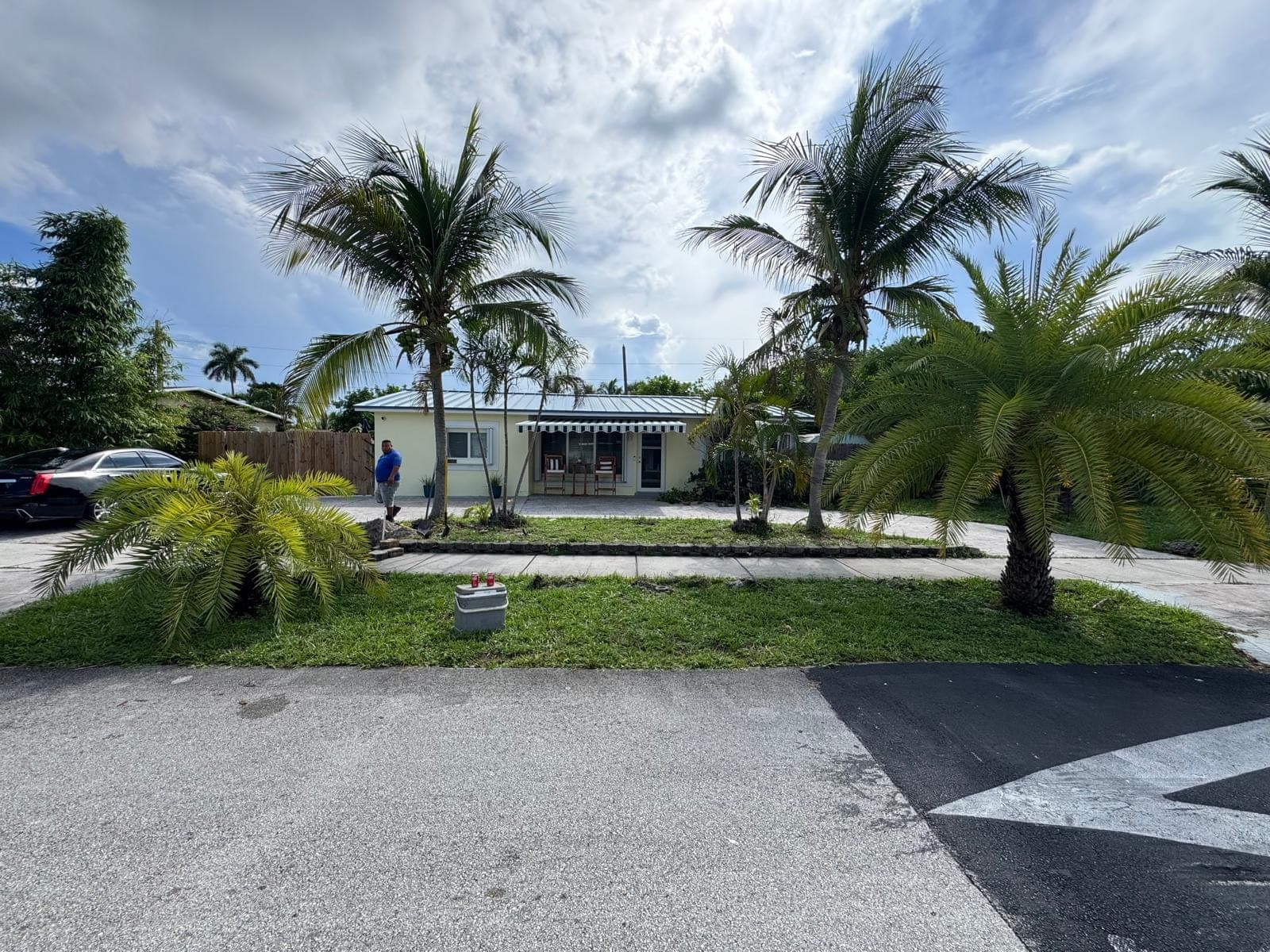 Front yard with palms before planting beds were added