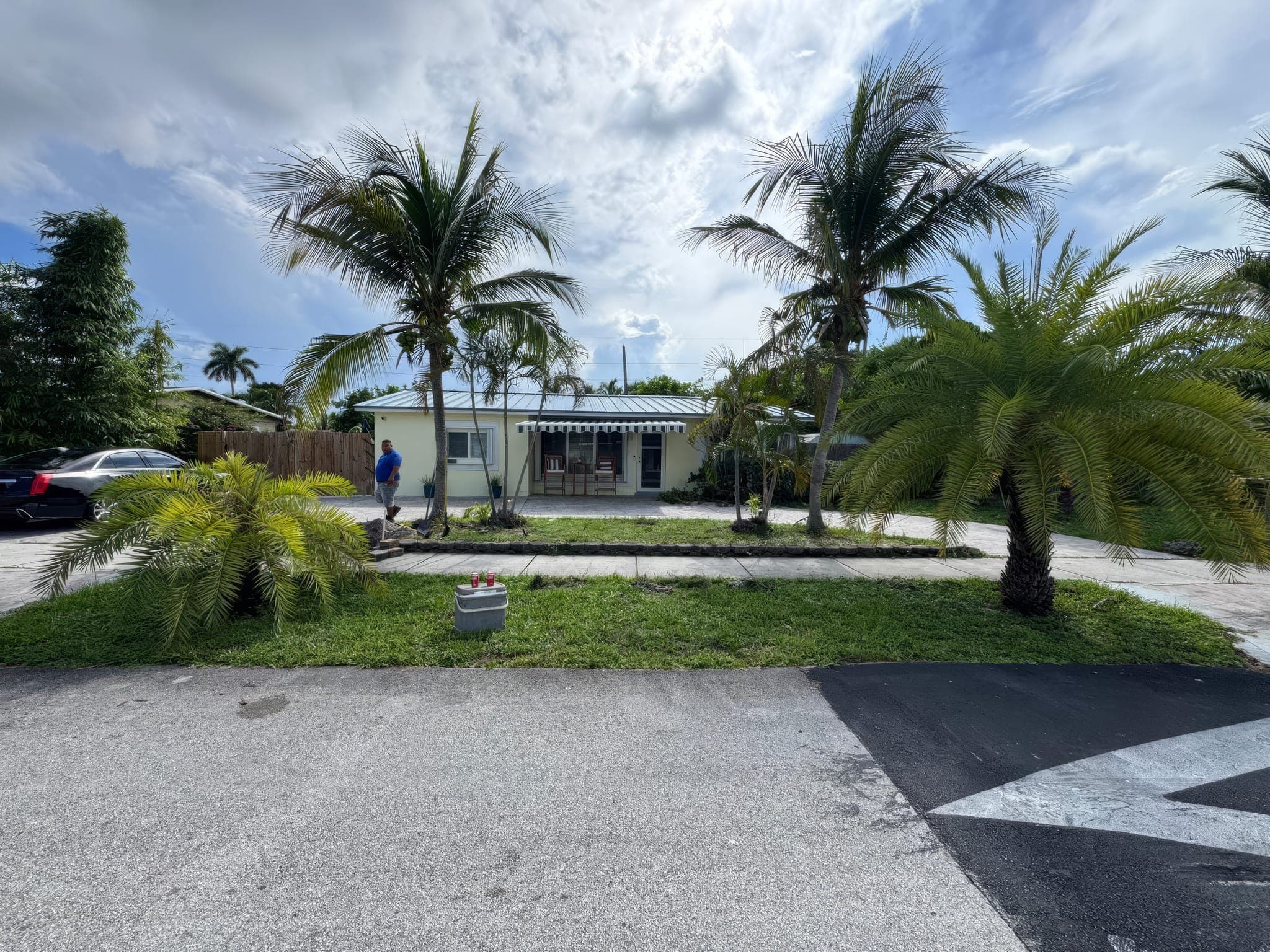 Front yard with palms before planting beds were added