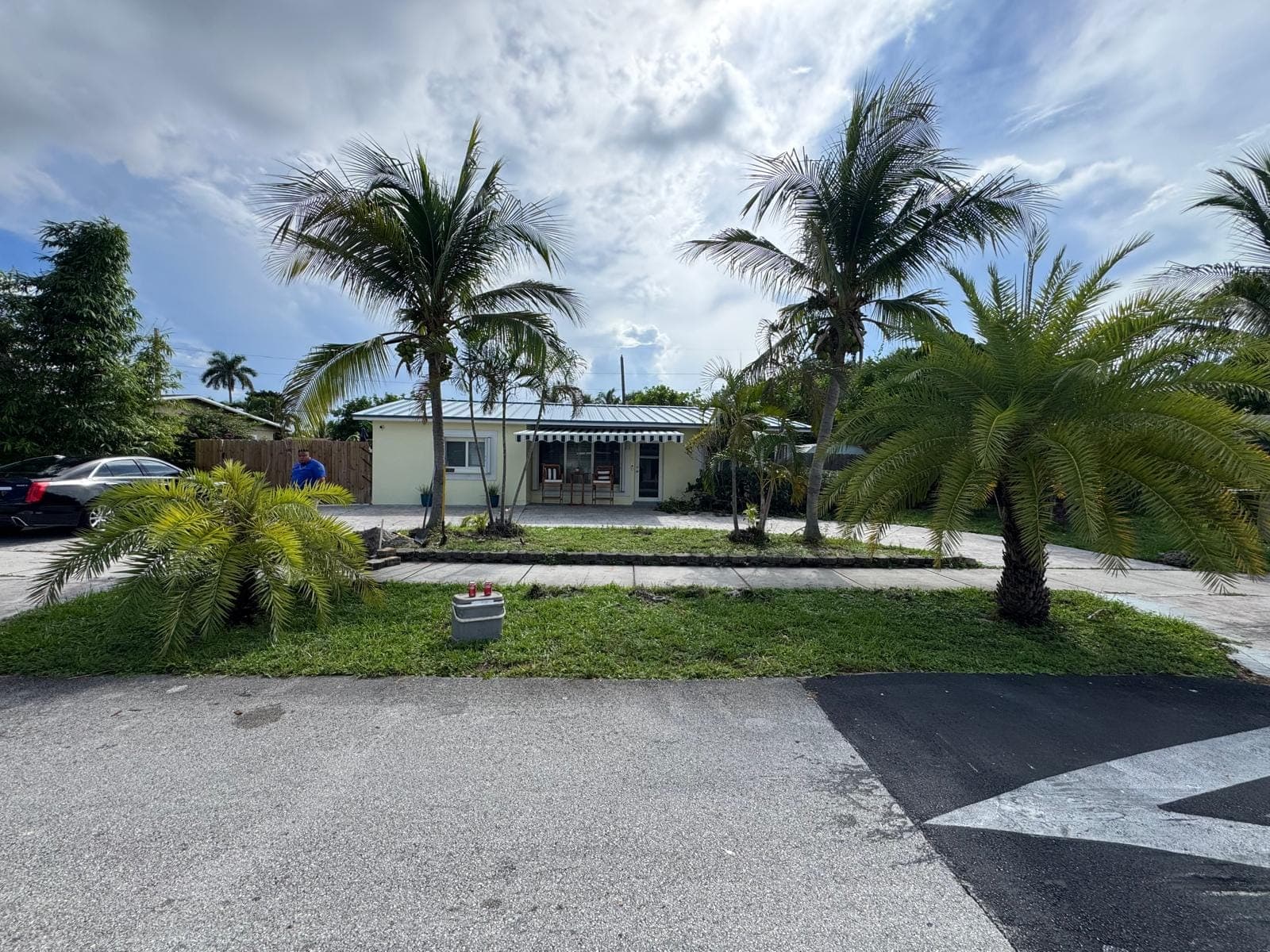 Street view of a front yard with new palm beds