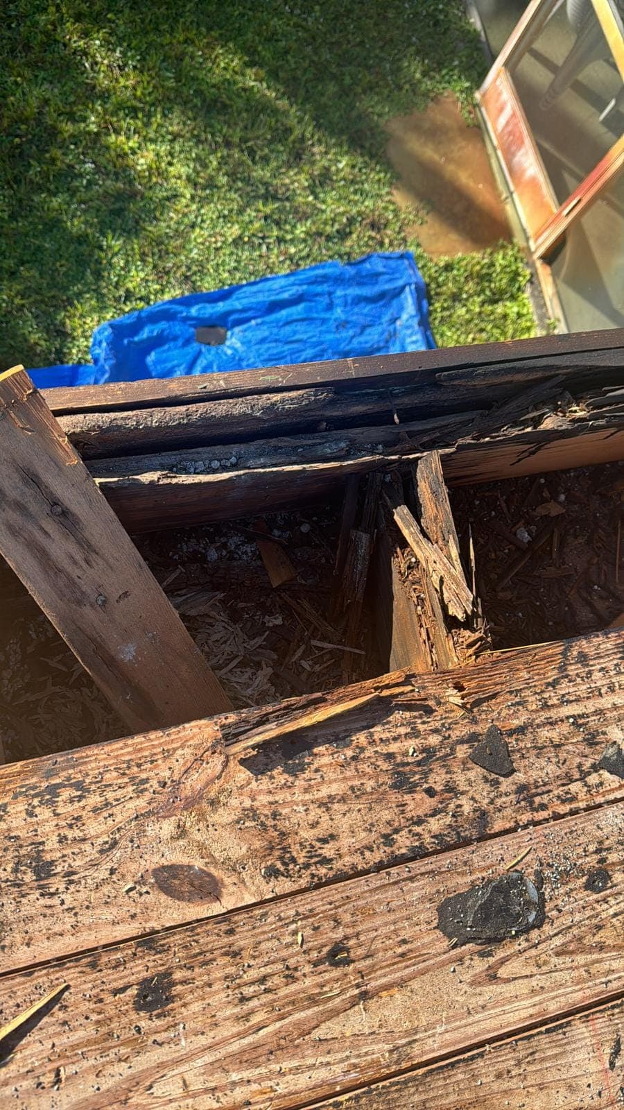 Rotted roof decking exposed at the eave