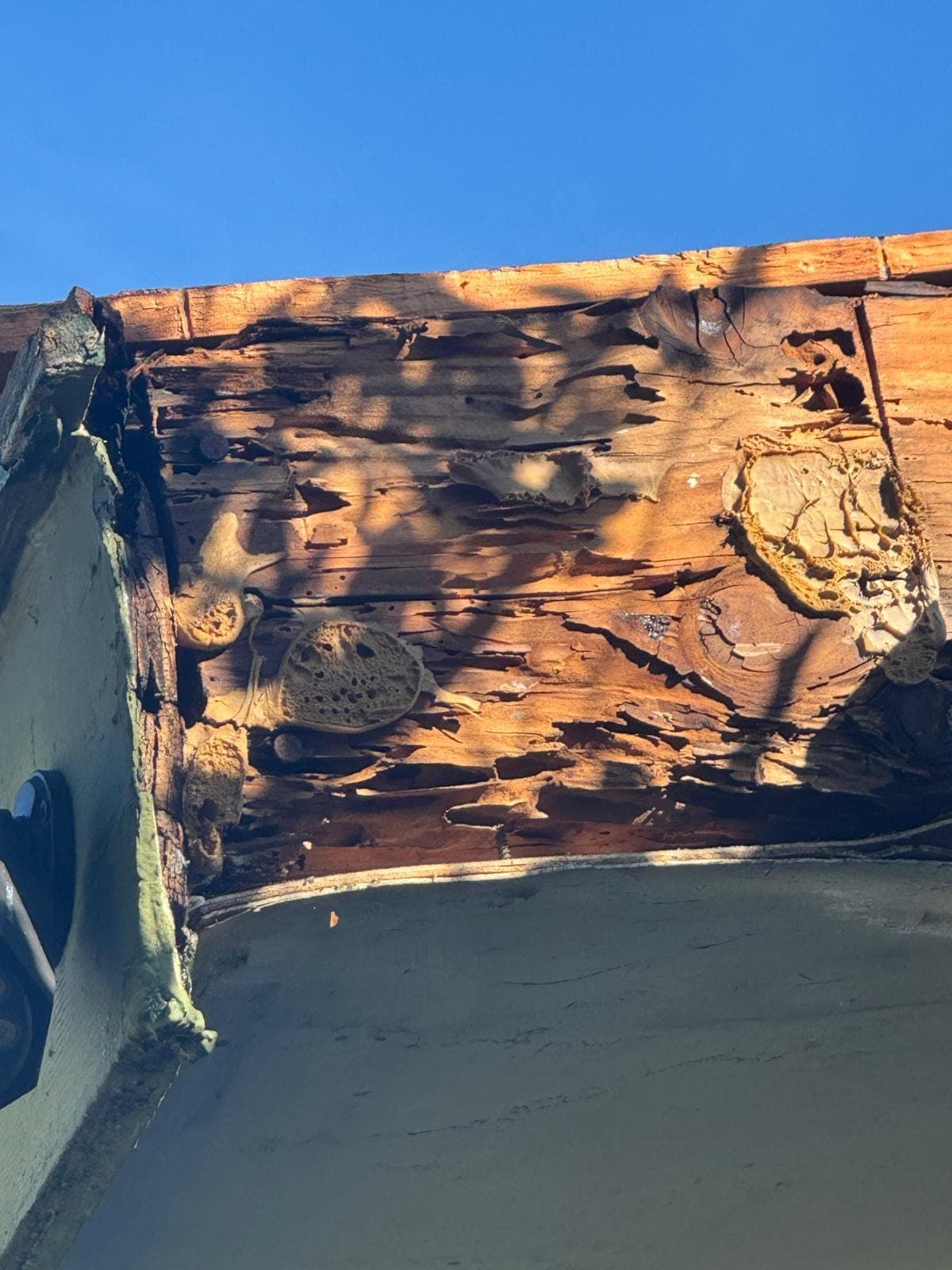 Rotted wood in exposed roof framing at the eave